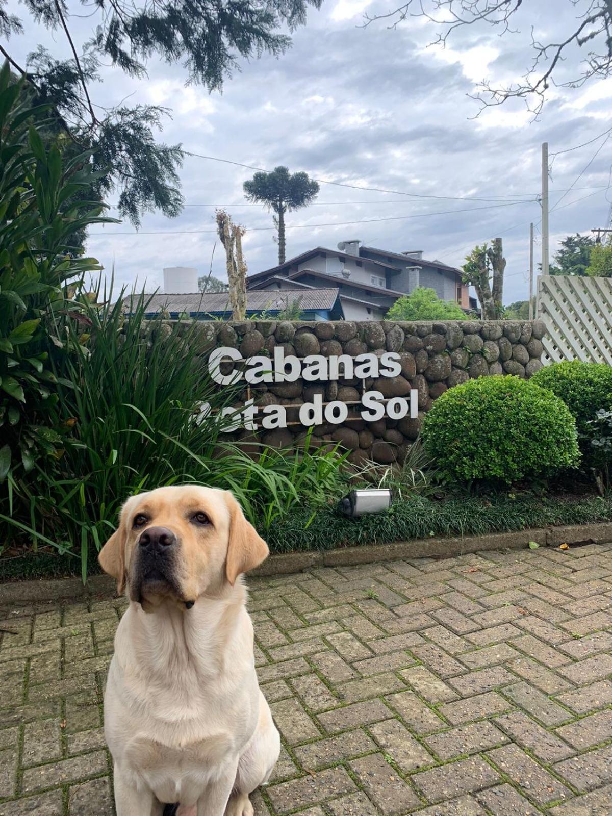 Pousada Cabanas Rota Do Sol Gramado Exterior foto